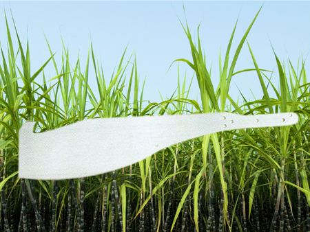 बिना हैंडल के गन्ना चाकू