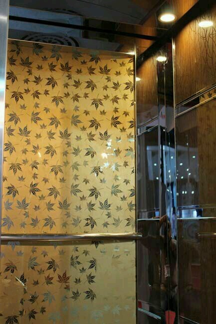 Stair Lift - Stainless Steel, For Passengers Loading At Speeds Of 0.5 To 2.0 M/s | Safety Features Including Photocell Protection And Overload Holding Stop