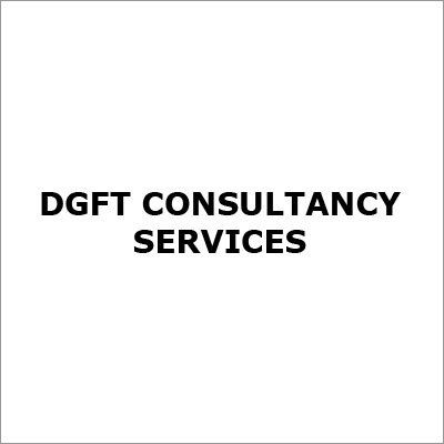 Dgft Consultant