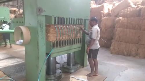 कोइयर के लिए पालतू पट्टा