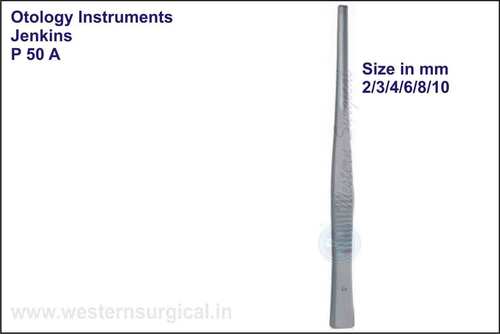 जेनकींस