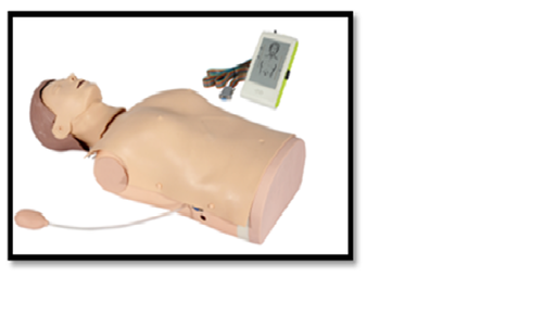मॉनिटर के साथ CPR प्रशिक्षण मैनिकिन (आधा शरीर)