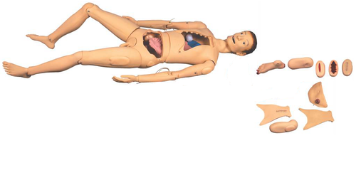 नर्सिंग प्रशिक्षण मैनिकिन (यूनिसेक्स)