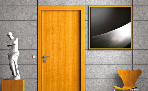 फ्लश डोर