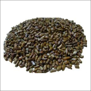 कैसियाटोरा