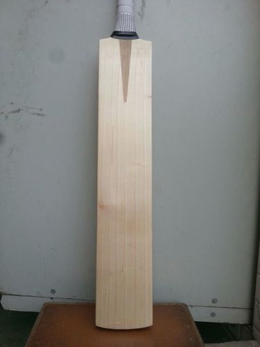 अंग्रेजी विल्लो बैट