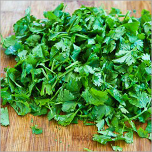 Fresh Cut Coriander