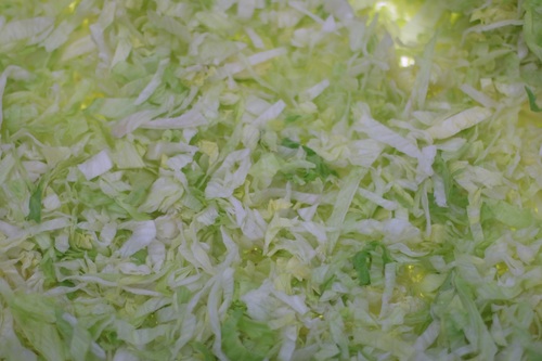 Fresh Cut Iceberg Lettuce