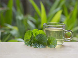 प्राथमिक असंसाधित कृषि उत्पाद