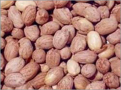 Bharuch Peanuts