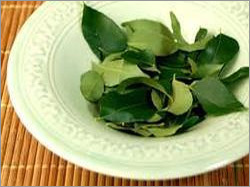 करी पत्ता