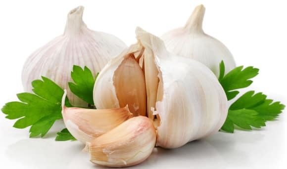 Fresh Cut Garlic - Block Shape, Wholesome White Color | Spicy Flavor, 24 Months Shelf Life, Stored In Cool Dry Place