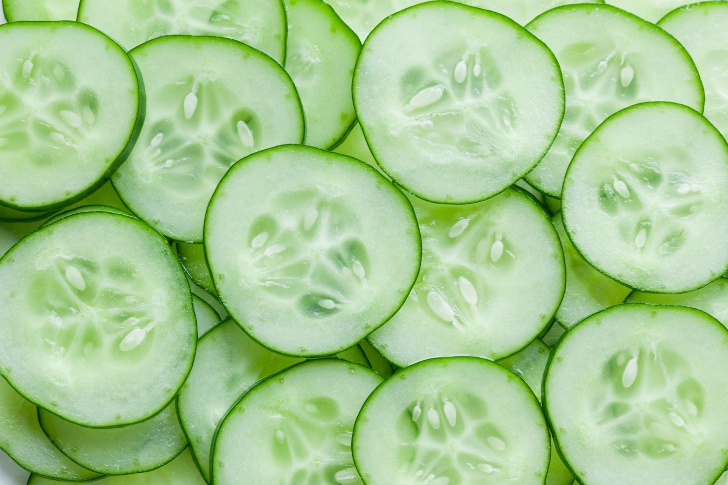 Fresh Cut Cucumber