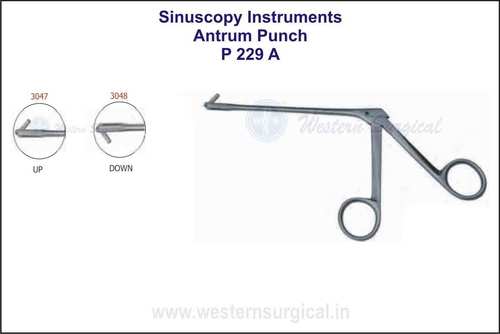 एंट्रम पंच