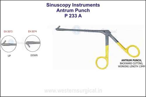 एंट्रम पंच