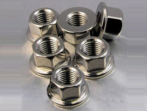 स्टेनलेस स्टील हेक्स नट्स