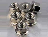 स्टेनलेस स्टील हेक्स नट्स