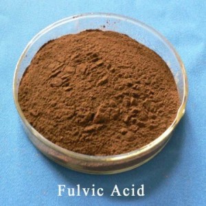 Fulvic Acid Powder - Premium Quality Bulk Supply | Effective Plant Growth Promoter, Enhances Soil Properties, Increases Crop Yield, Supports Environmental Stress Resistance