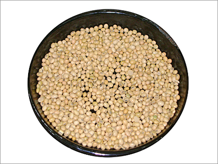सोयाबीन बीज