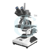 Trinocular microscope (economical model)
