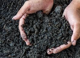 SOIL CONDITIONER - Organic Composition, Enhances Soil Health and Nutrient Retention, Boosts Plant Growth