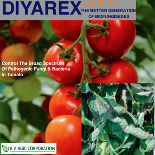 टमाटर Diyarex Gold जैव कवकनाशक