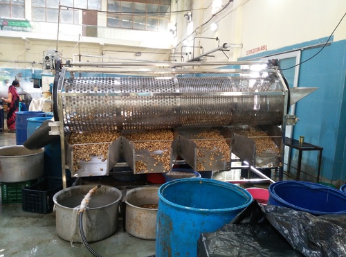 Eco Friendly Mushroom Grader 4+1