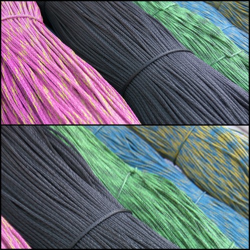 गोप डोरी