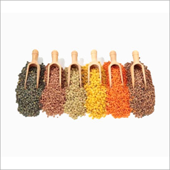 कच्चा दाल