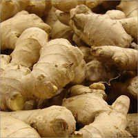 Organic Ginger