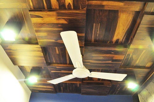 Deaigner Ceiling