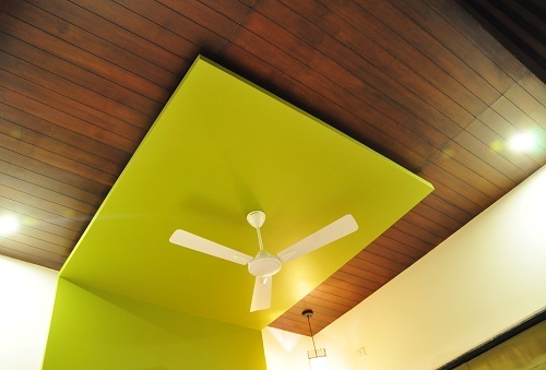 Deaigner Ceiling