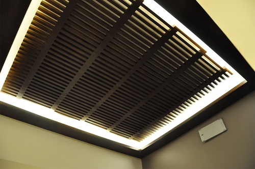Deaigner Ceiling