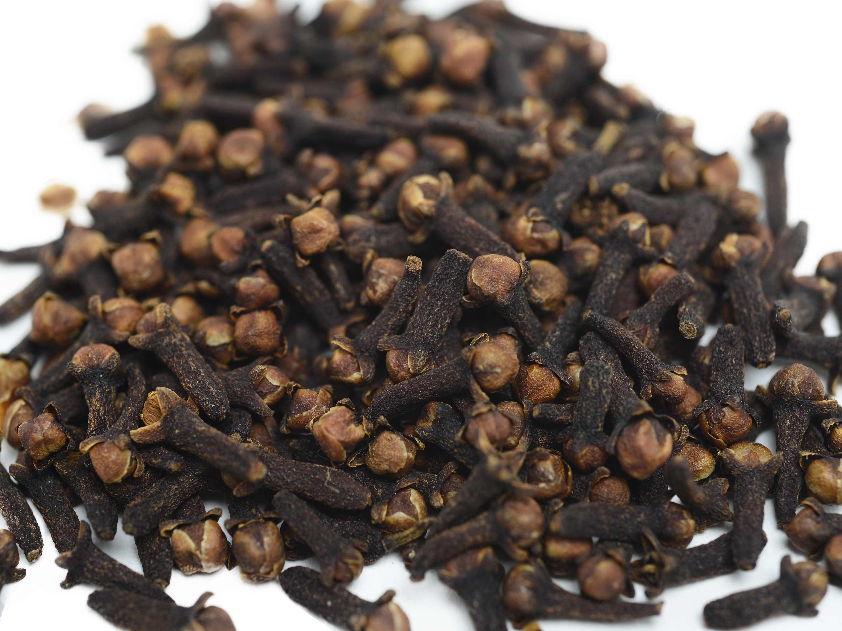 Clove