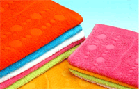 जेकक्वार्ड टेरी