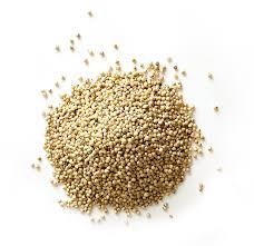 Sorghum Texture: Dried