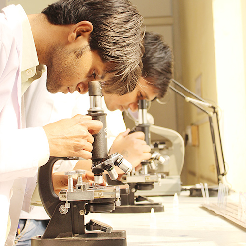 Lab Microscope