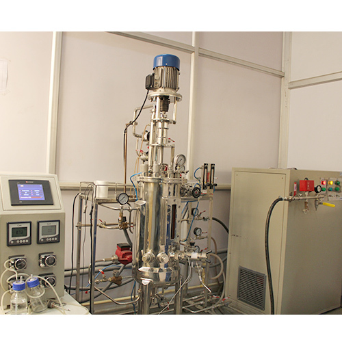 प्रयोगशाला किण्वक