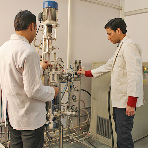 Laboratory Fermenter