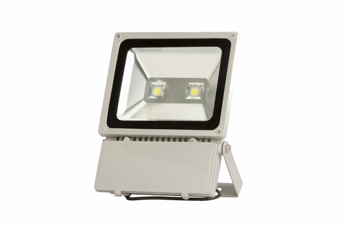 Cob Floodlight 100 Watts