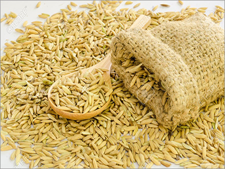 धान चावल