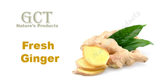 ताजा अदरक