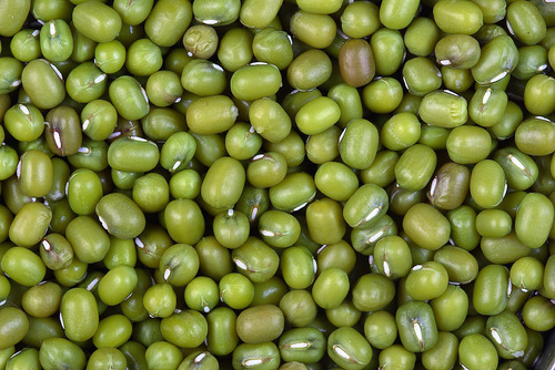 ऑर्गेनिक हरी मूंग