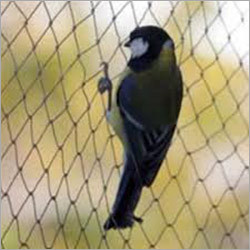 पक्षियों से सुरक्षा करने वाला नेट
