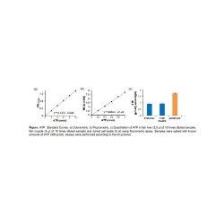 ATP Colorimetric/Fluorometric Assay Kit - 100 Assays, High Purity with Simple Procedure and Robust Quantification Method
