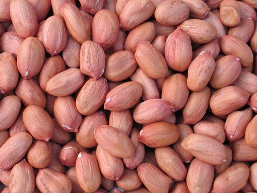 मूंगफली के कर्नेल