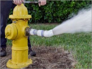 फायर हाइड्रेंट सिस्टम परीक्षण सेवा