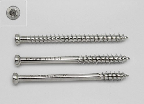 सिल्वर कैंसलस स्क्रू