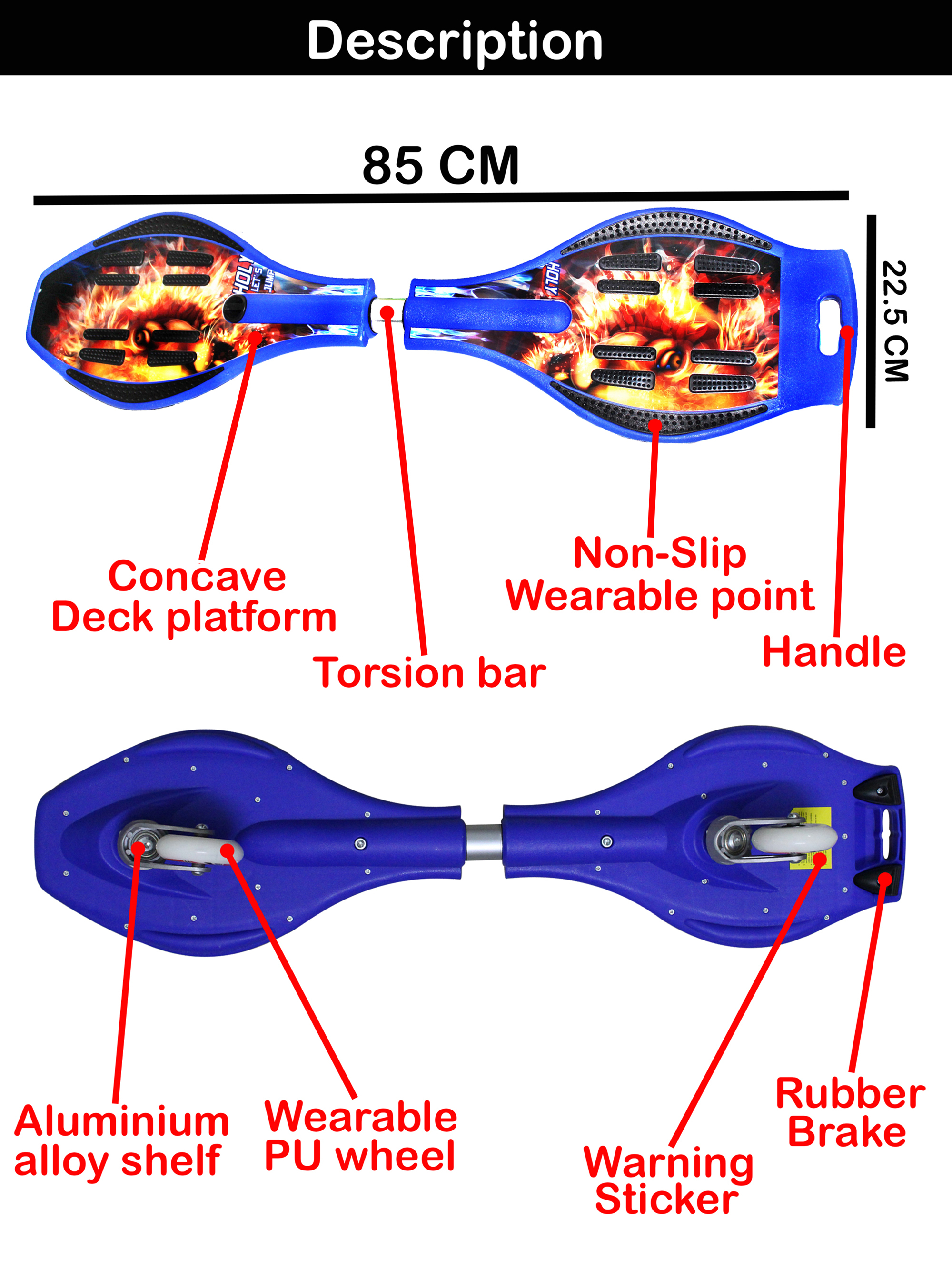 Wave Board With Lion