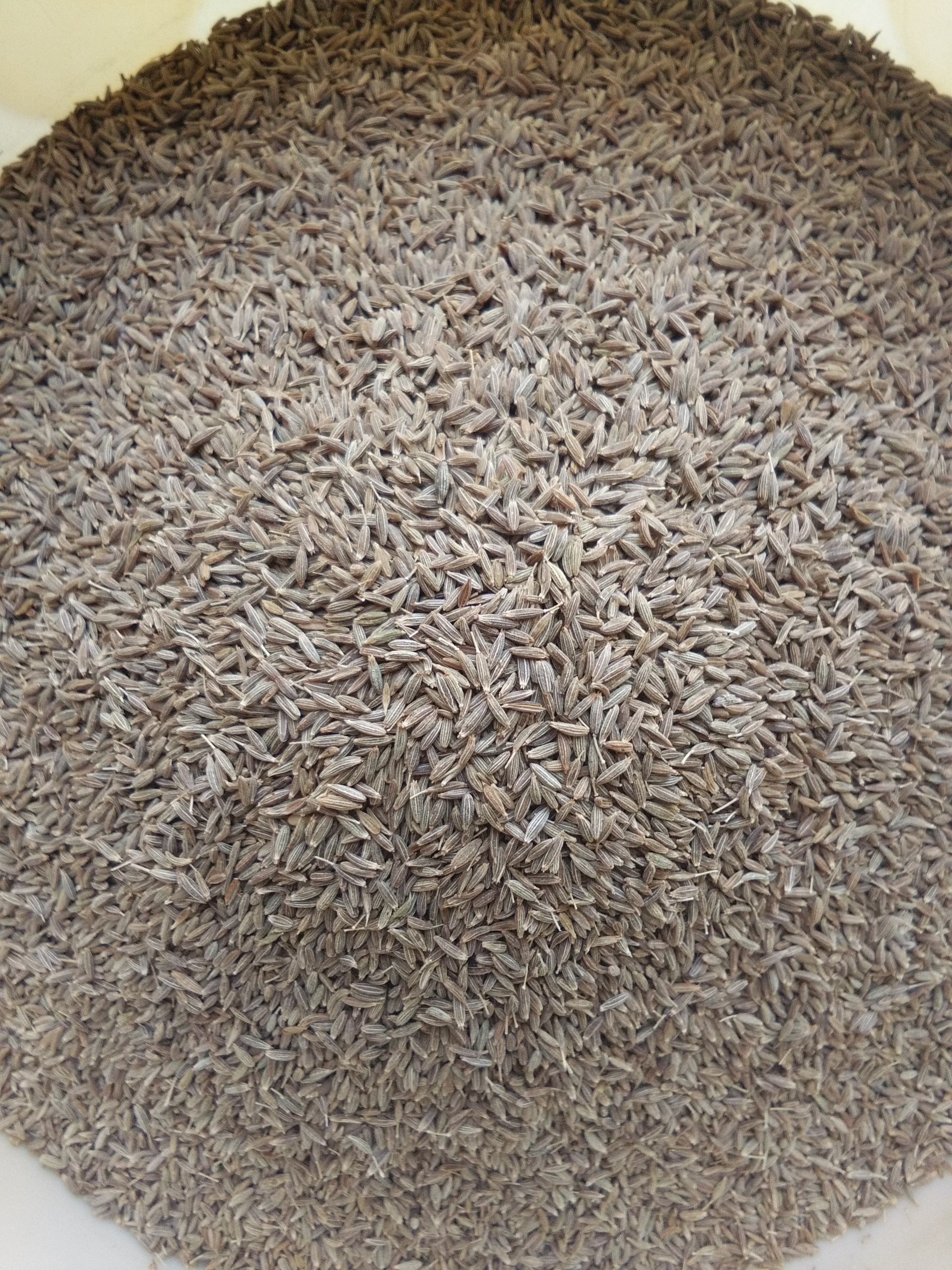Jeera Seeds